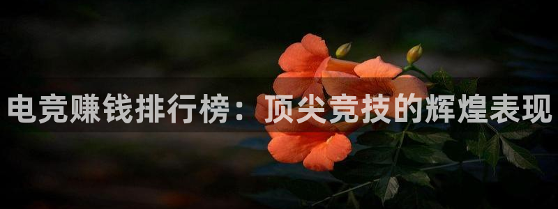 vsport体育官方正版app官方：电竞赚钱排行榜：