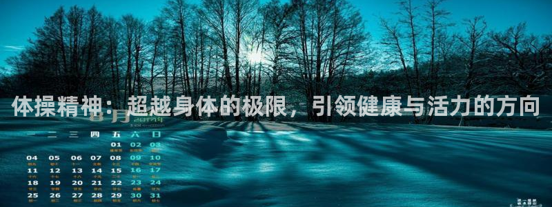 vsport体育官方正版app集团官网首页：体操精神：超越身