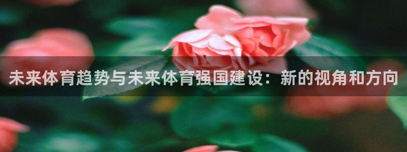 vsport体育官方正版app官网：未来体育趋势与未