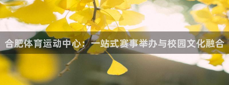 vsport体育官方集团官网：合肥体育运动中心：一站