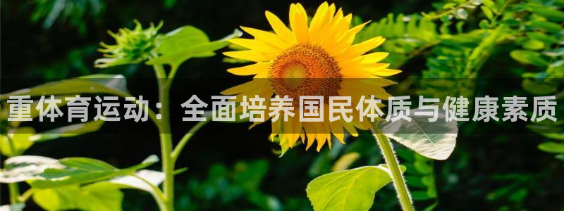 vsport体育官网下载联系电话：重体育运动：全面培
