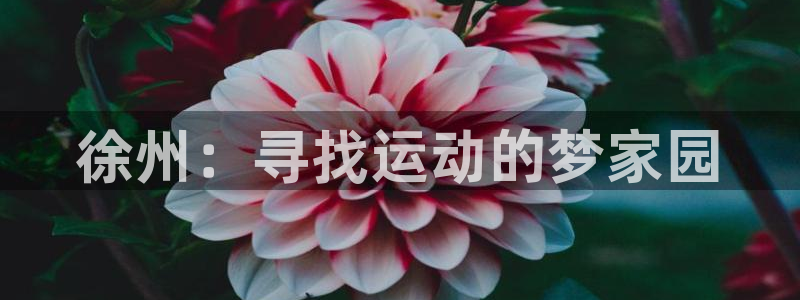 vsport体育官网下载平台注册流程视频：徐州：寻找
