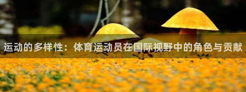 vsport体育官网下载软件：运动的多样性：体育运动