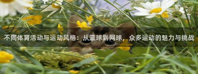 vsport体育官方集团官网：不同体育活动与运动风格