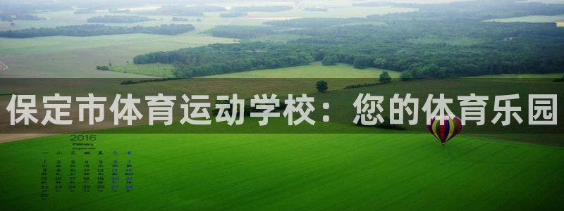 vsport体育官方正版app科技