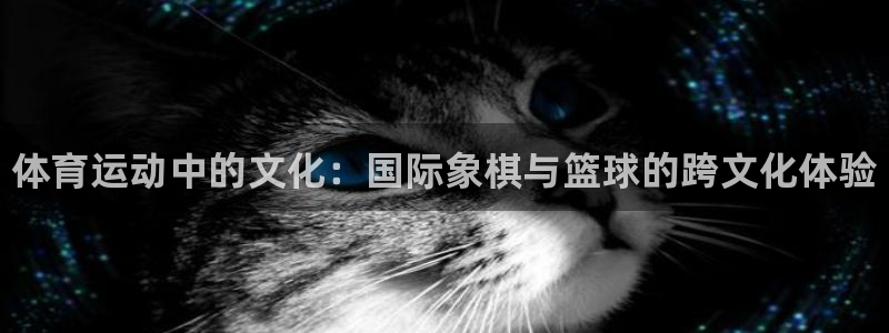 vsport体育官方正版app代理：体育运动中的文化：国际象