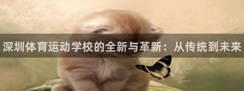 海南vsport体育官网下载发展怎么样：深圳体育运动学校的全