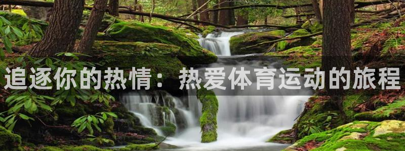 vsport体育官网下载平台APP：追逐你的热情：热爱体育运