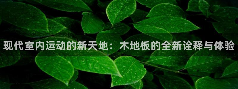 vsport体育官网下载平台是正规平台吗安全吗：现代室内运动