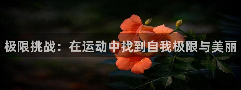 vsport体育官网下载注册：极限挑战：在运动中找到自我极限