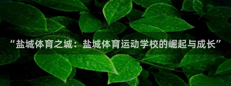 vsport体育官方正版app娱乐是那个系列的台子：“盐城体
