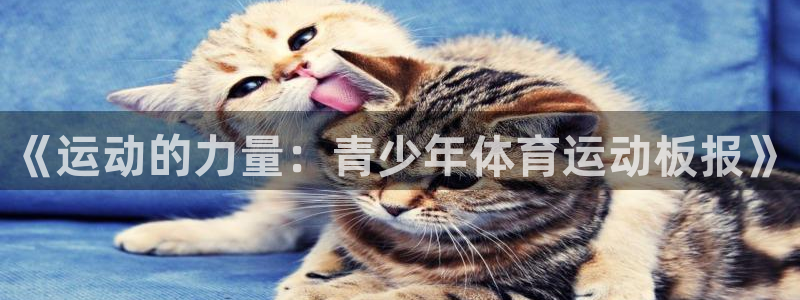 vsport体育官方正版app集团官网首页网址：《运