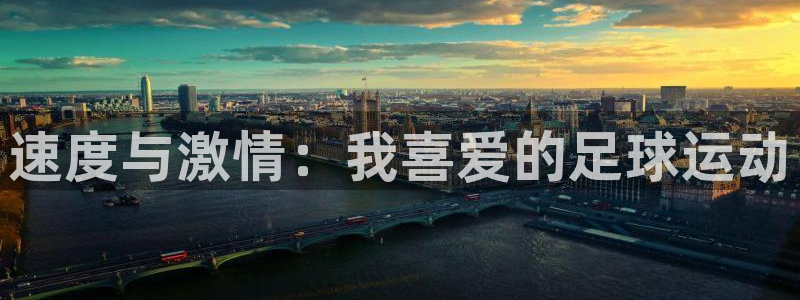 vsport体育官方正版app娱乐是那个系列的台子：