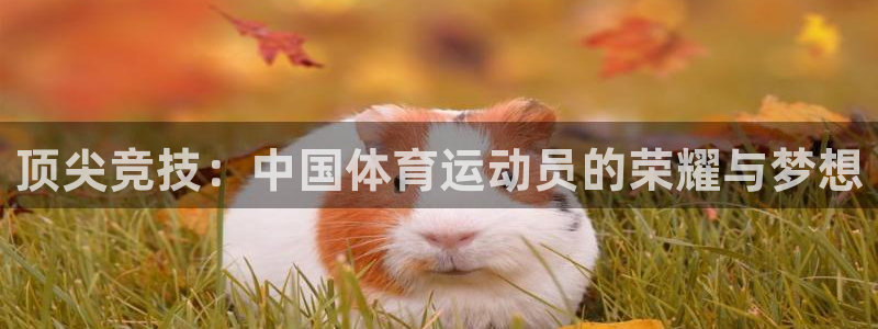 vsport体育官方正版app娱乐40996：顶尖竞