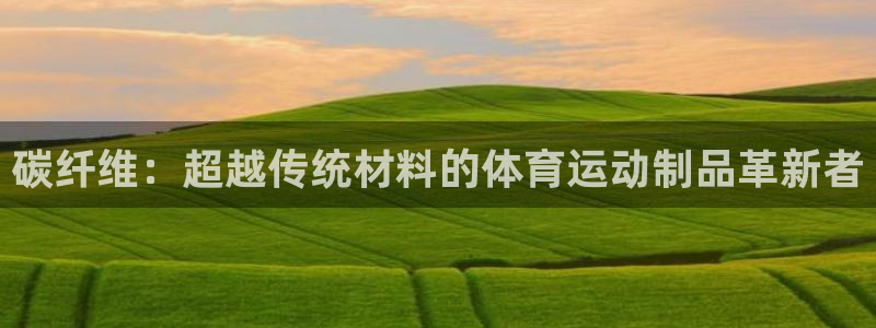 vsport体育官网下载招商电话是多少啊：碳纤维：超