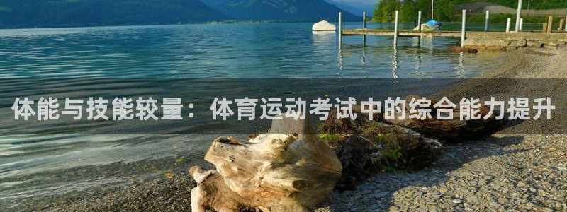 vsport体育官网下载平台假的吗是真的吗吗：体能与
