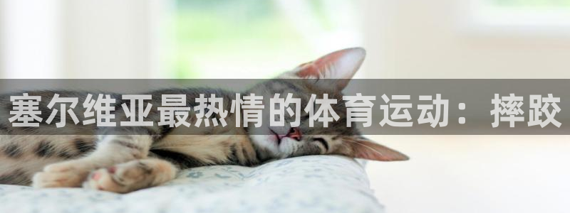 vsport体育官网下载平台假的吗是真的吗：塞尔维亚