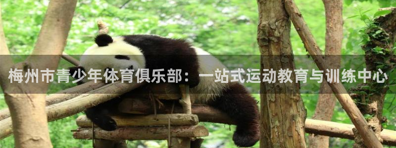 vsport体育官网下载开户：梅州市青少年体育俱乐部