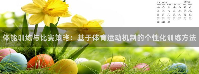 vsport体育官方正版app官网：体能训练与比赛策