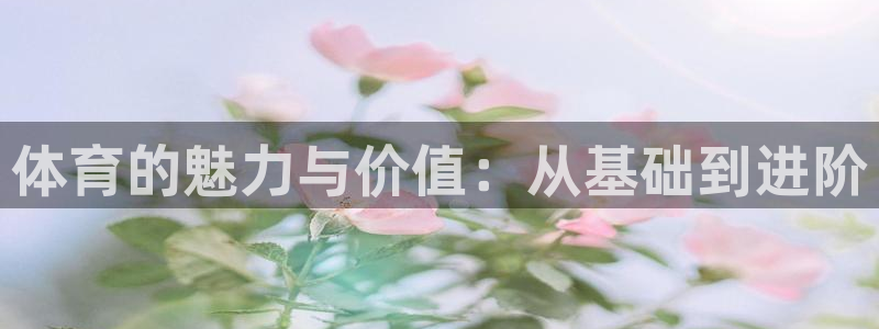 vsport体育官网下载软件：体育的魅力与价值：从基