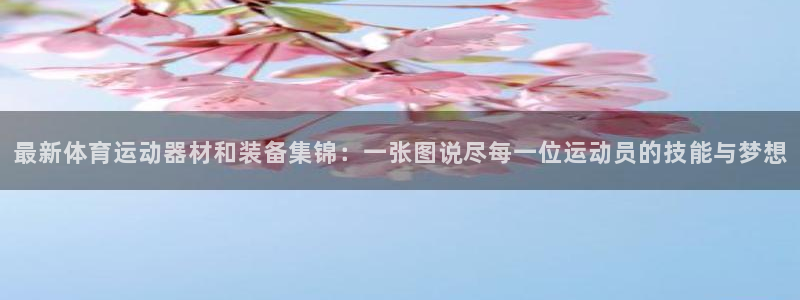 vsport体育官网下载招商电话地址：最新体育运动器