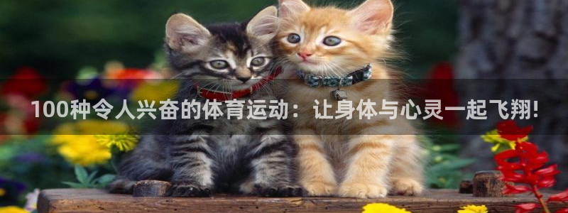 vsport体育官方正版app集团官网网址：100种