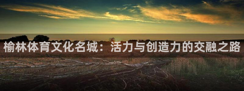 vsport体育官方正版app官方：榆林体育文化名城