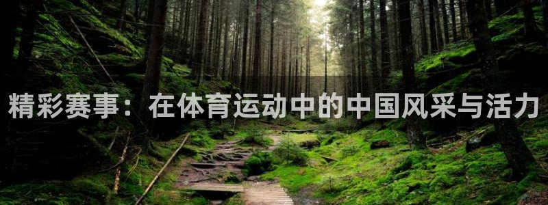 vsport体育官方正版app官网：精彩赛事：在体育