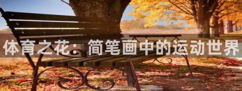vsport体育官方集团官网：体育之花：简笔画中的运动世界