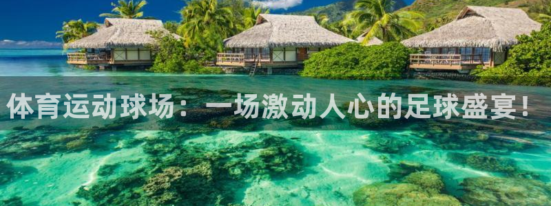 vsport体育官网下载招商电话是多少号码：体育运动球场：一