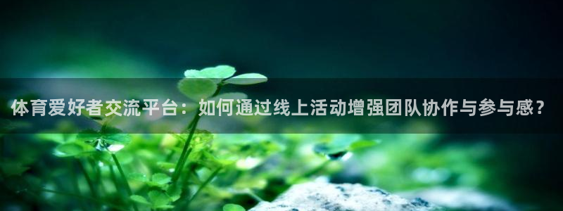 vsport体育官方正版app集团logo：体育爱好者交流平