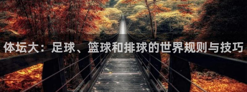 vsport体育官网下载平台注册要钱吗：体坛大：足球