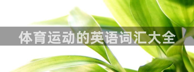 vsport体育官网下载招商电话号码：体育运动的英语词汇大全