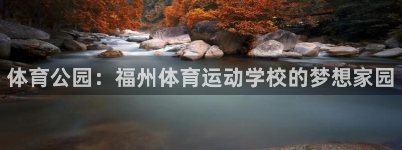 vsport体育官方正版app集团官网首页