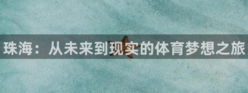 德国vsport体育官方正版app集团：珠海：从未来到现实的