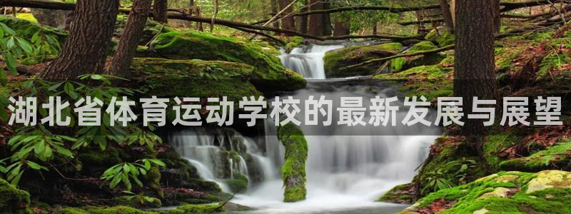 vsport体育官方正版app集团官网首页网址