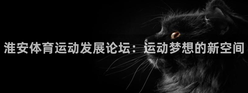vsport体育官方正版app集团：淮安体育运动发展论坛：运