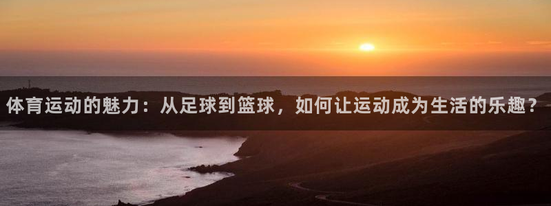 vsport体育官方正版app集团官网首页：体育运动