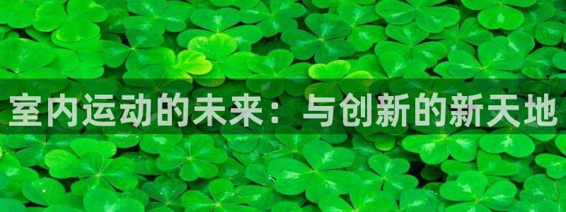 vsport体育官方正版app集团官网首页网址：室内运动的未